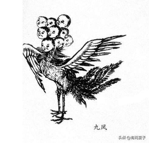 湖北九头鸟是褒义还是贬义,九头鸟到底是贬义还是褒义