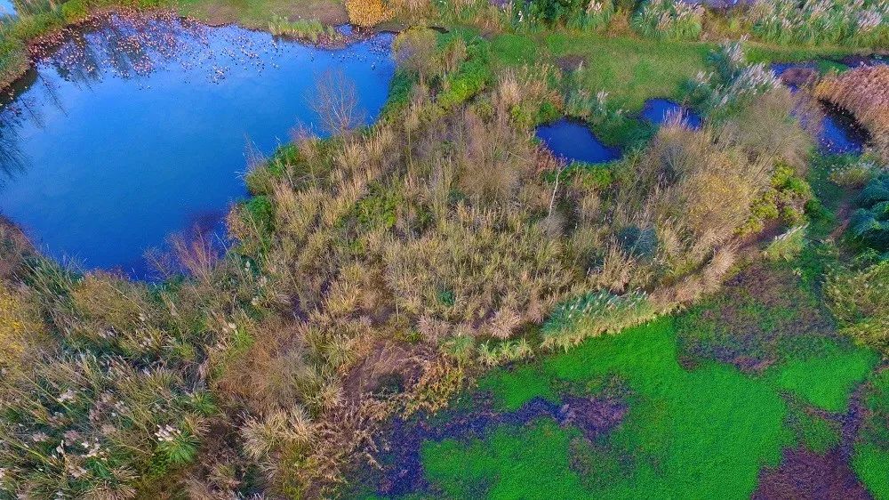 遂宁70年,四川遂宁70周岁补贴