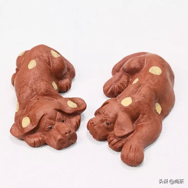 茶宠直播福袋,最好的10种茶宠