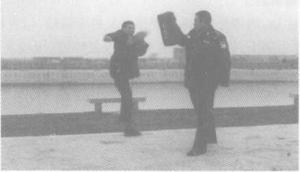 警用防暴棍对战短刀,警用棍式防暴器