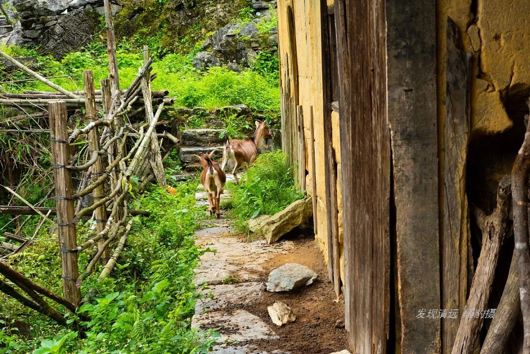 徒步穿越秦岭无人区,徒步穿越喀斯特森林