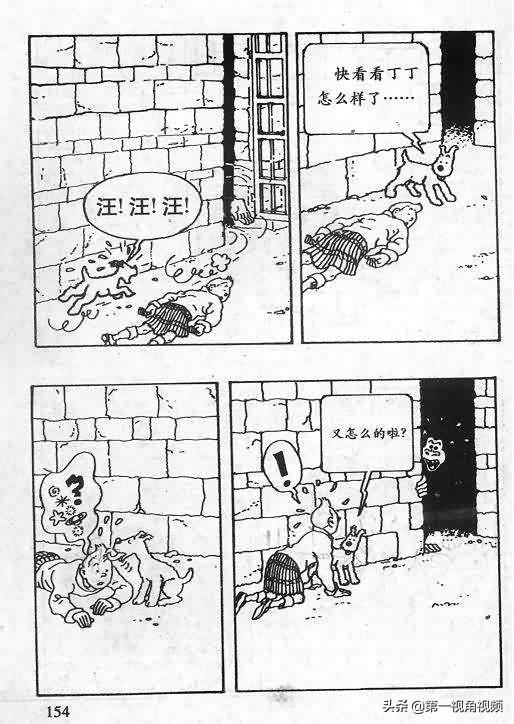 丁丁历险记刚果完整版,丁丁历险记西藏