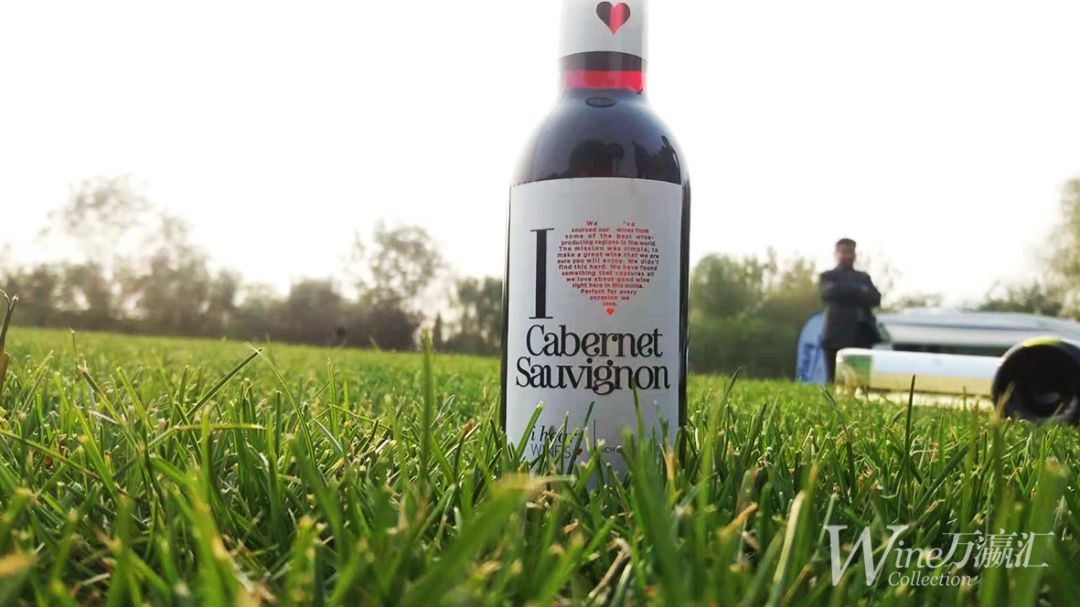 葡萄酒基本配餐原则,葡萄酒配餐的一般原则有哪些