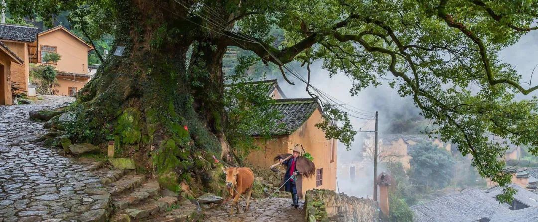 中国传统建筑和园林艺术,中国古典建筑风格园林