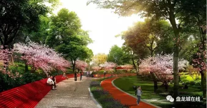 盘龙城巨龙足球公园,盘龙城体育学院