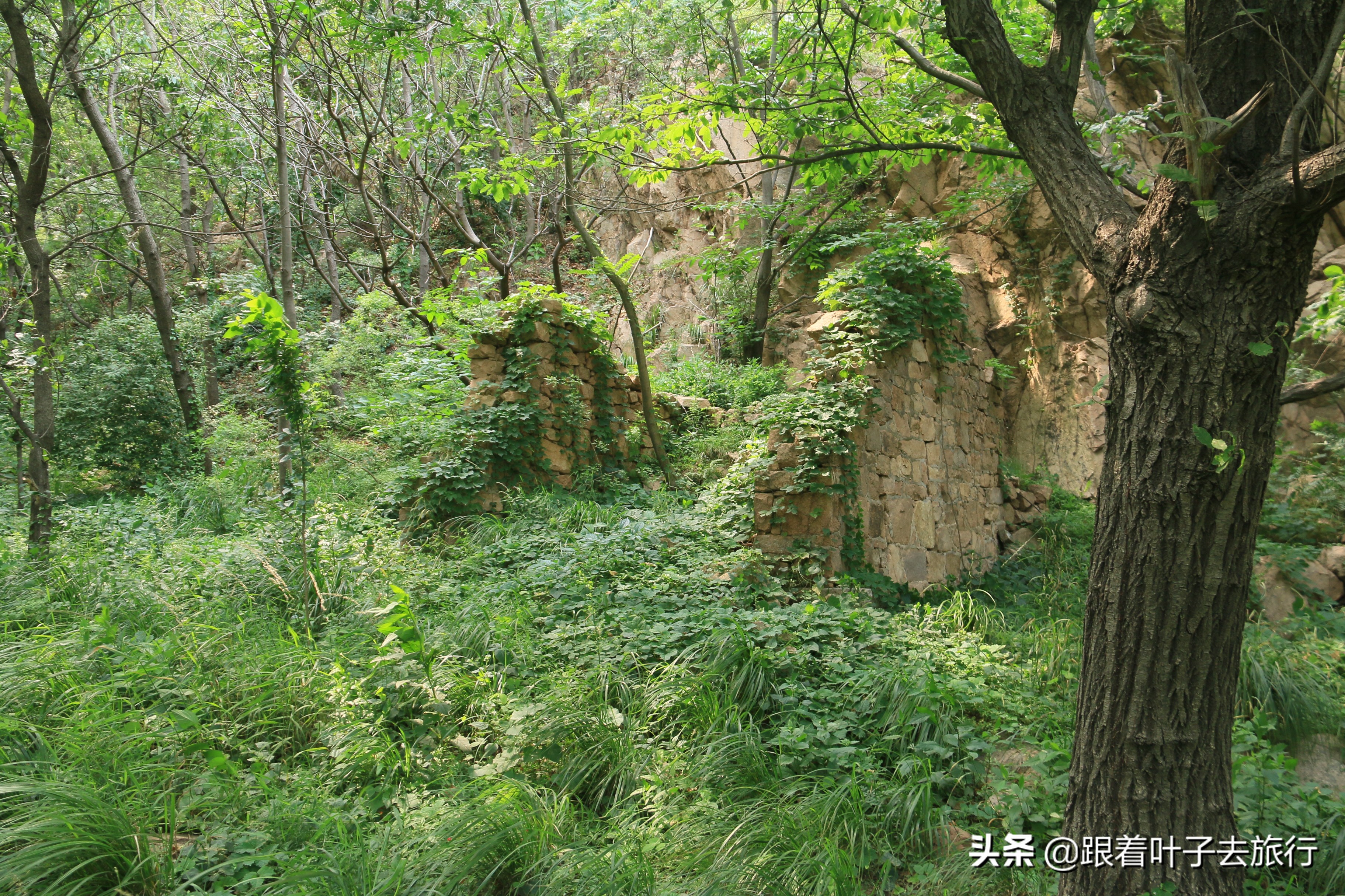 莒县各乡镇地图高清版大图,莒州网