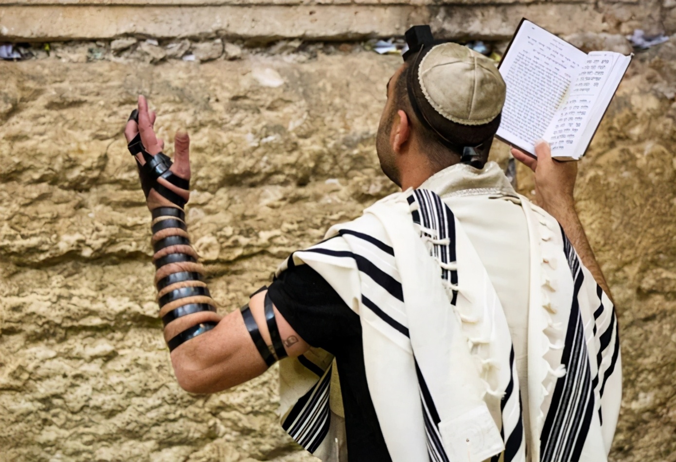 白帽子和黑帽子,黑帽子vs白帽子