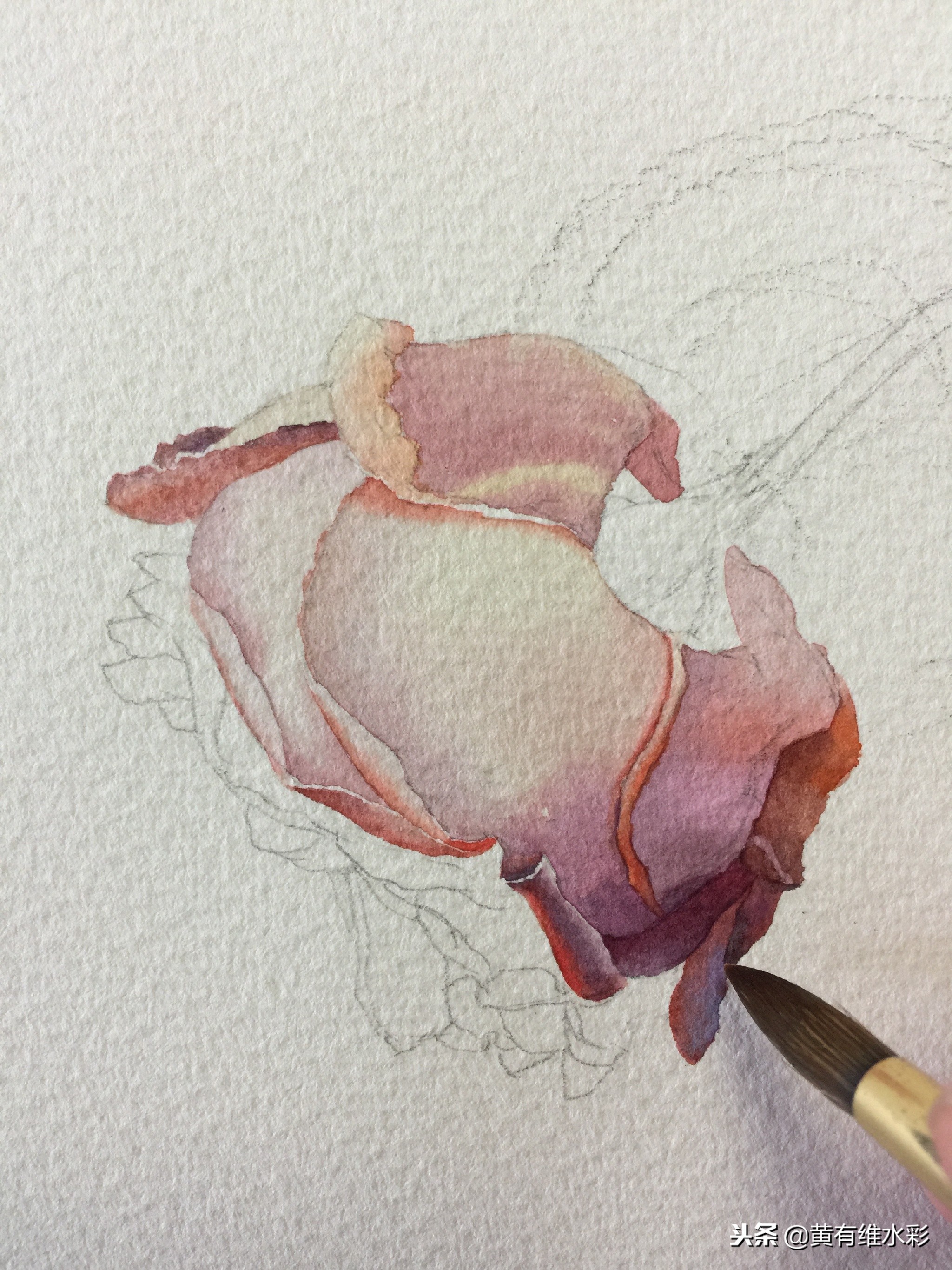水彩教程简单好看手绘图片,水彩教程画花