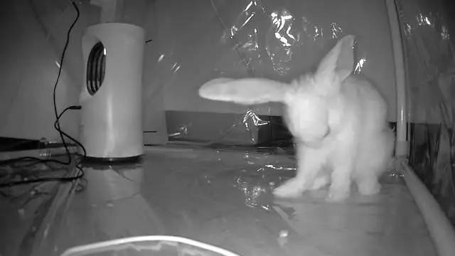 4款家用灭蚊灯测评高效灭蚊灯,灭蚊灯比较