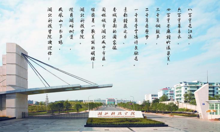 高职3+2本科联合培养社会认可吗,高考本科和专科联合培养好不好