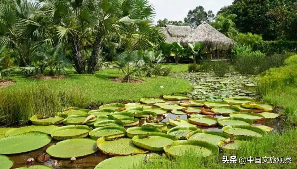 云南又在央视火了！这份云南2019新简历要藏不住了！