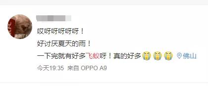 最近很多人吓得不敢开灯的视频,最近很多人被吓得不敢开灯的视频