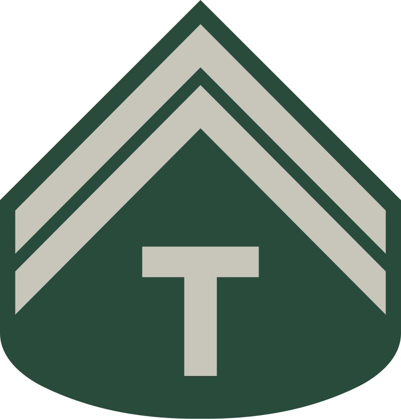 巴西军队标志,巴西海军军衔