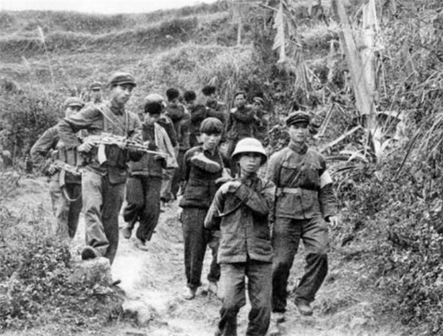 世友灼灼其华,世友名字怎么样