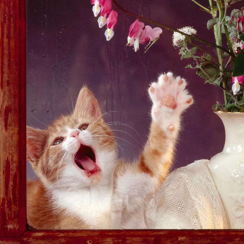 被小孩子咬了需要打狂犬疫苗吗,被别的小孩咬到可以打狂犬疫苗吗