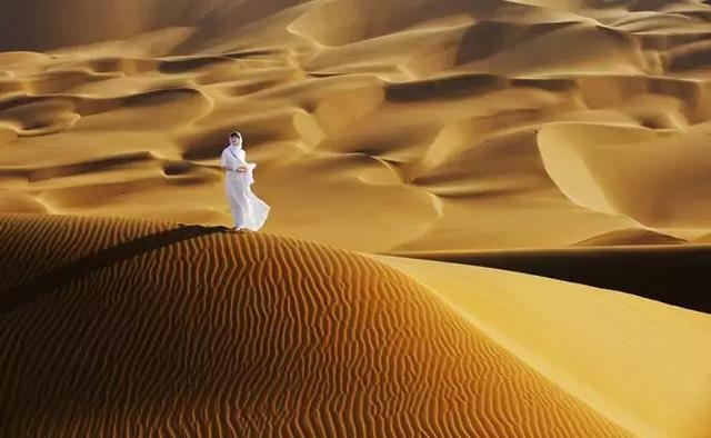 促进阅读理解与提高阅读速度,快速阅读能激发阅读兴趣