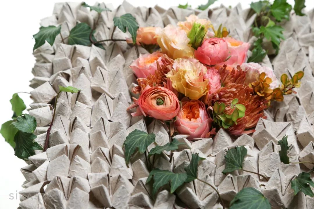 开箱测评葡萄酒,开箱测评行李箱