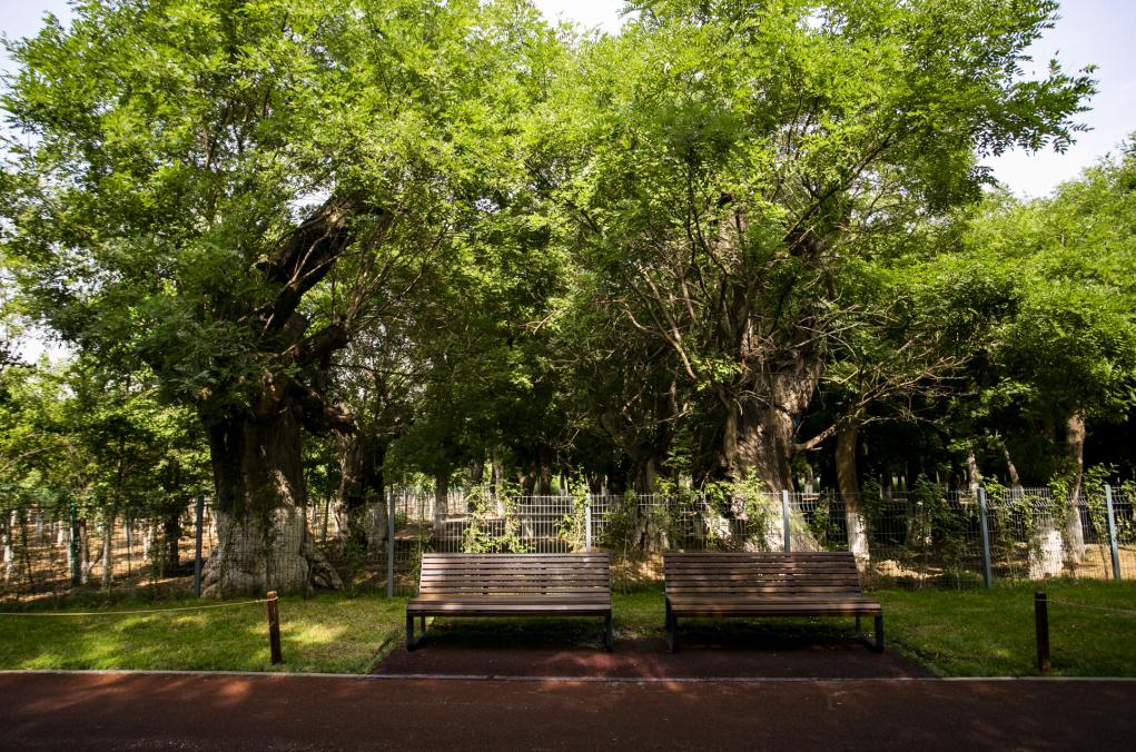 西安公园24小时开放,西安未央湖公园免费开放时间