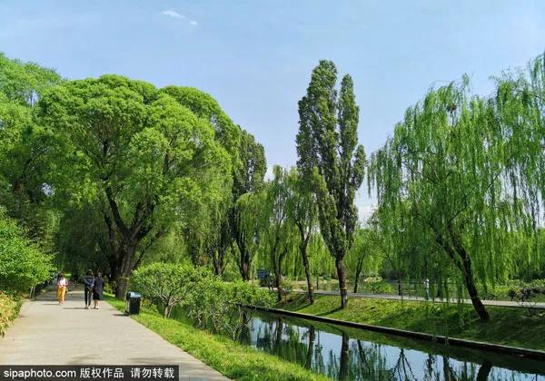 北京夏天傍晚值得去的地方,八月份北京适合旅游的地方推荐