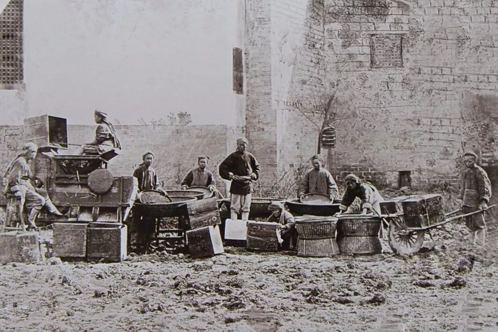 俄罗斯人喝茶的历史和习惯都和中国相关