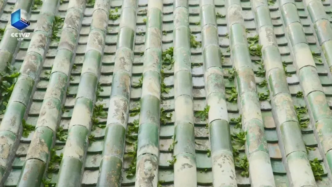 有关明朝朱元璋的纪录片,纪录片中国明朝朱元璋