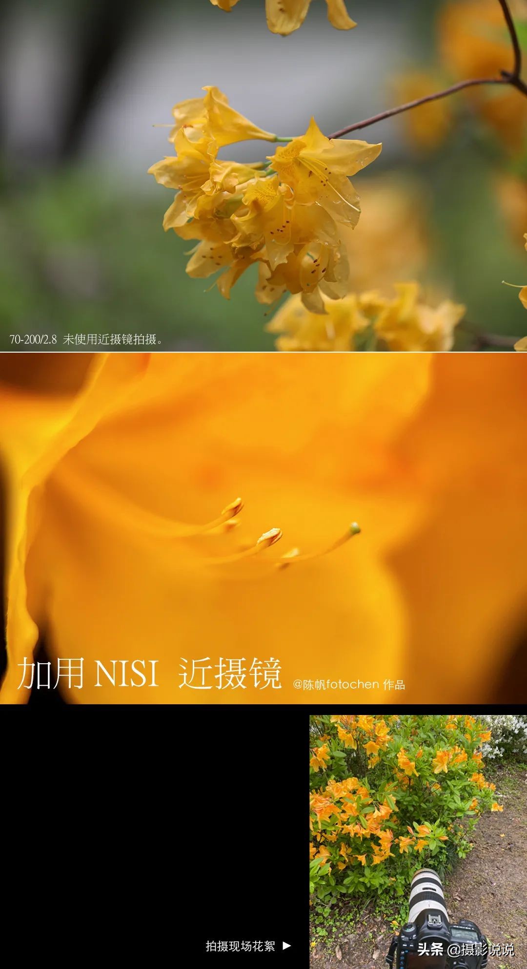 近摄镜拍微距,近摄镜测评视频