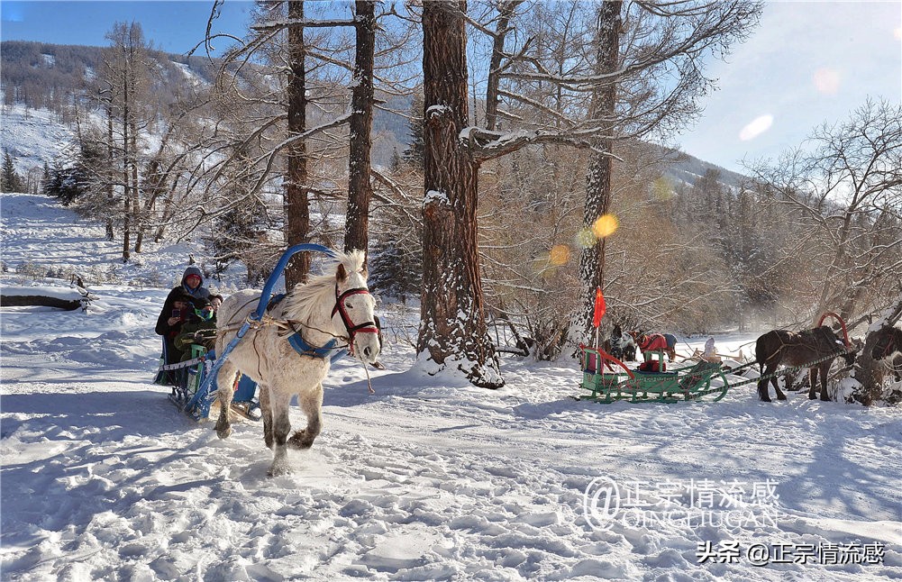 诗与远方：冬游喀纳斯