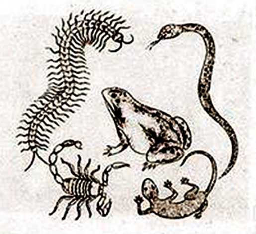 端午习俗之布老虎,端午节布老虎