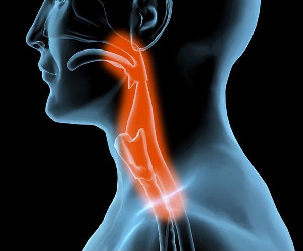 食道癌应该吃的食物,80岁老人得了食道癌饮食吃什么好