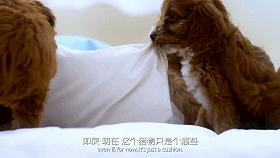 豆瓣9.1，看一次被萌一次，根本顶不住它们的可爱