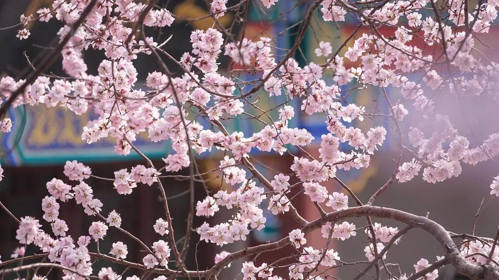 图观天下图片,图观天下图