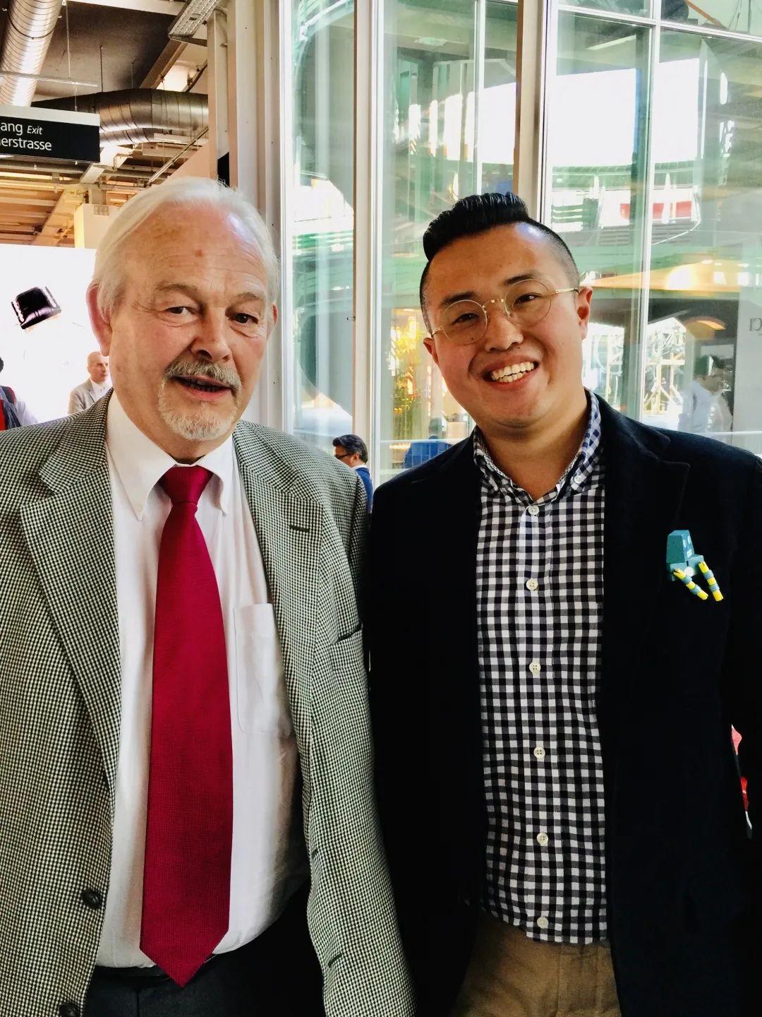 展翅高飞的鸟,展翅高飞的喜鹊