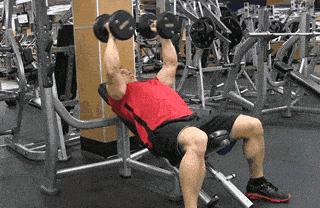 7个基础健身动作训练计划,零基础健身计划动作要领