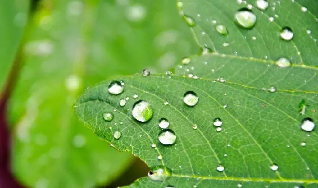 那些美到让人窒息的日语词汇