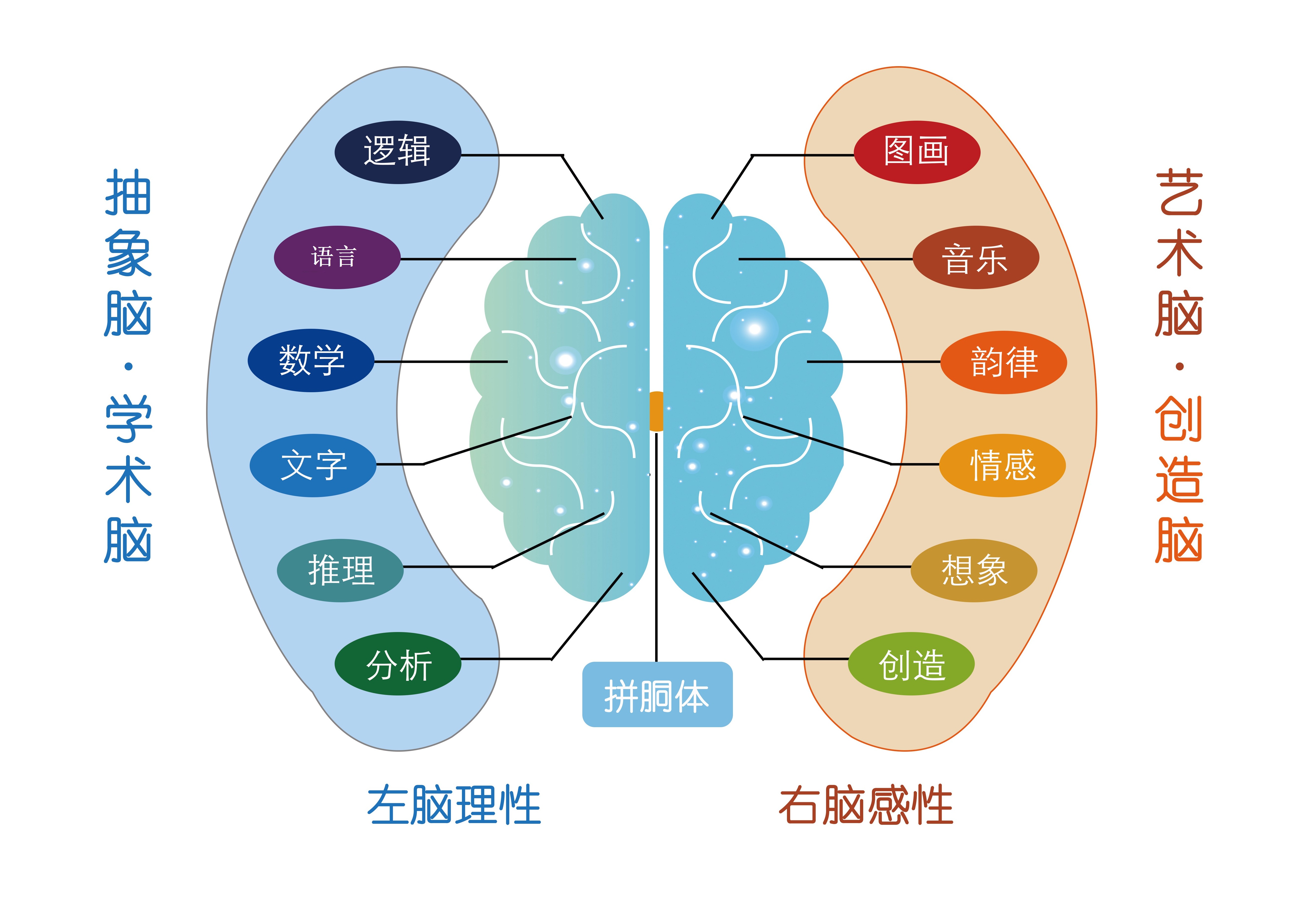 脑科技:嗅觉刺激,改善AD,用于老年痴呆治疗