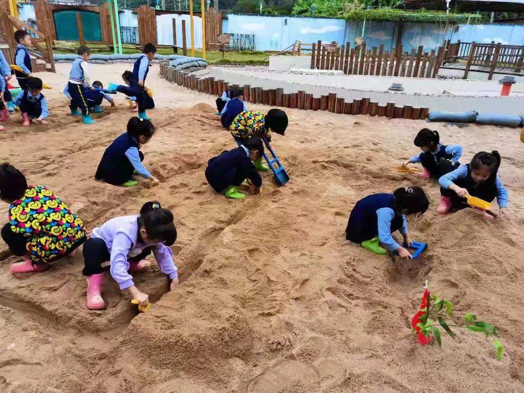 学习这篇获奖案例，看优秀教师如何带孩子们“玩转”沙水游戏