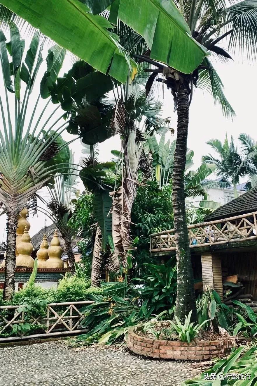 云南的西双版纳州怎么样,云南西双版纳景区怎么样