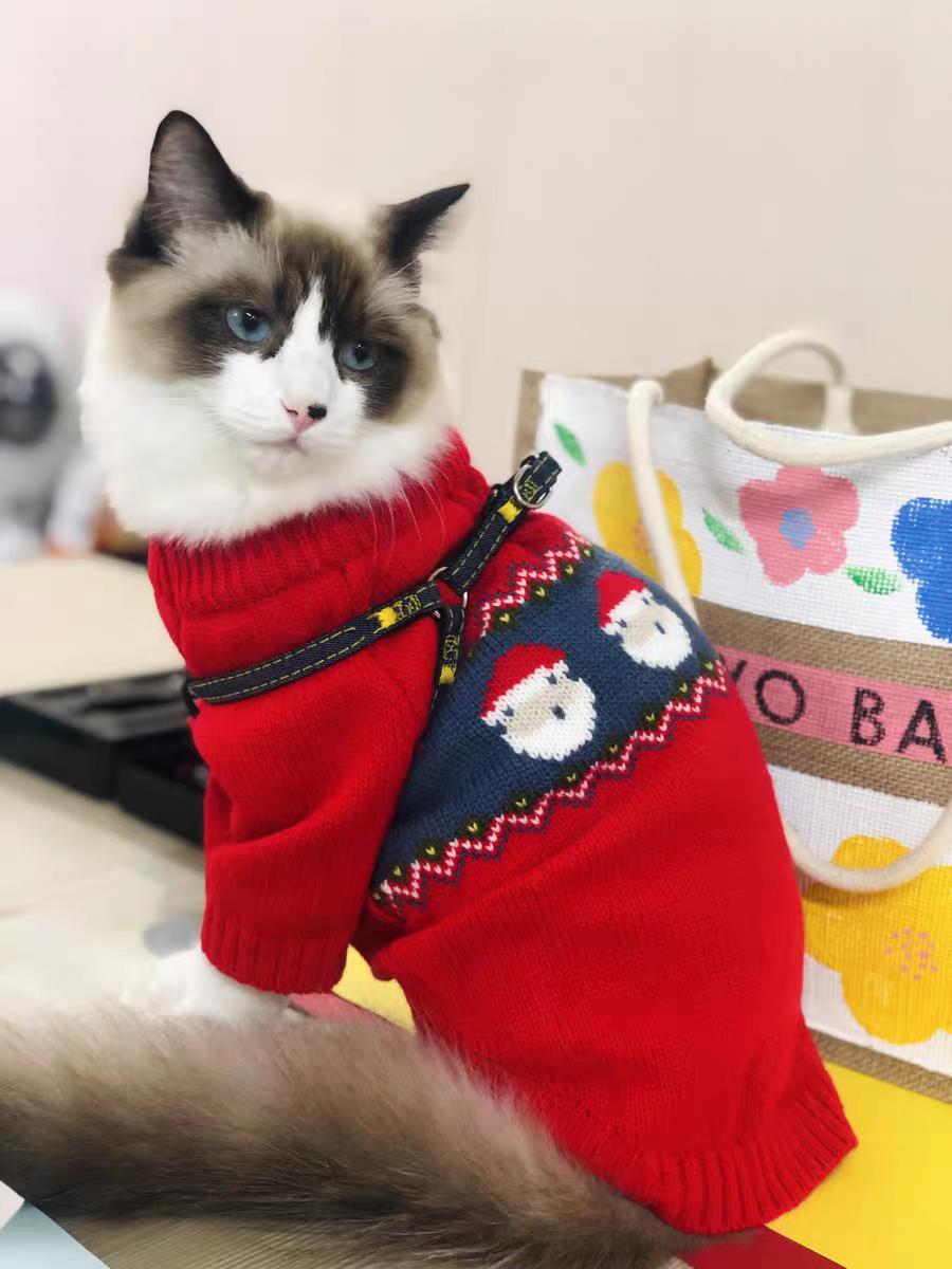 布偶猫适合吃什么猫粮便宜,布偶猫吃什么猫粮比较实惠