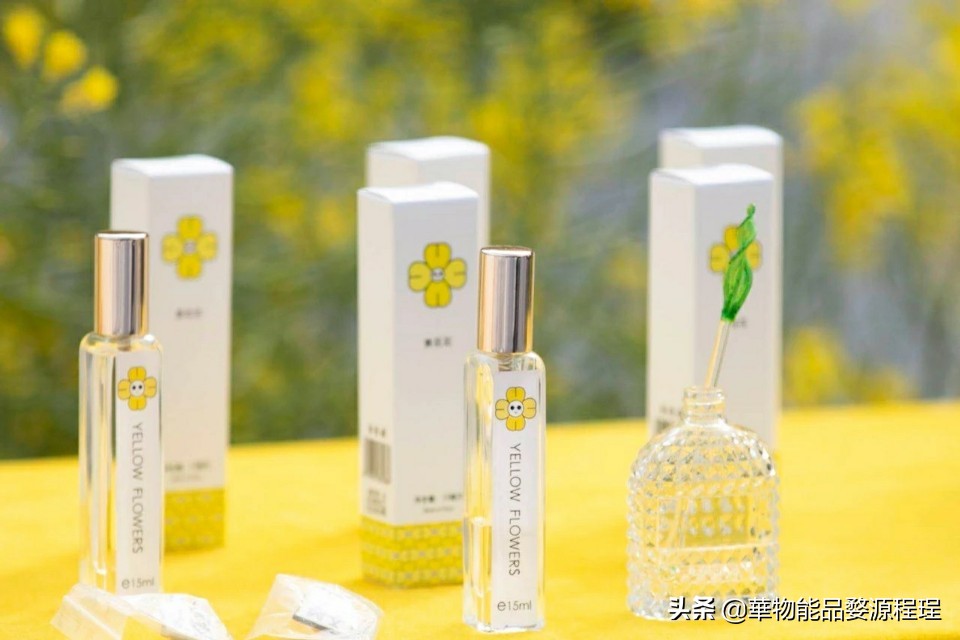 江西婺源油菜花音乐节,婺源油菜花文化节