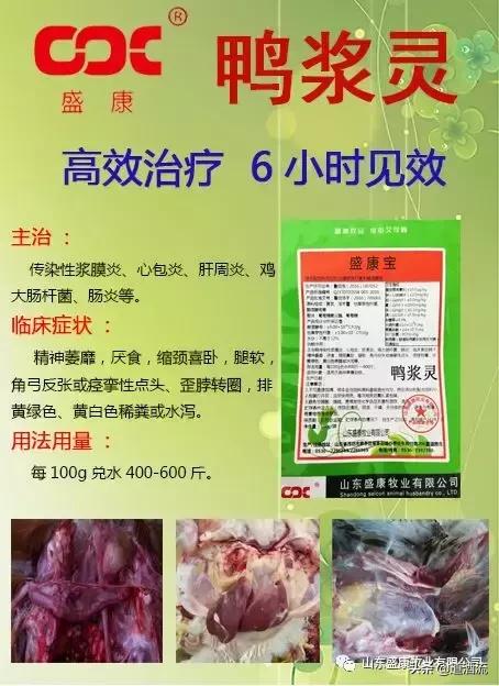 鸭呼吸困难怎么解决,鸭子存放的方法