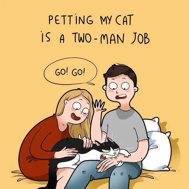 沙雕猫片，笑到床塌！自从做了卑微的铲屎官，比一个人时刺激多了