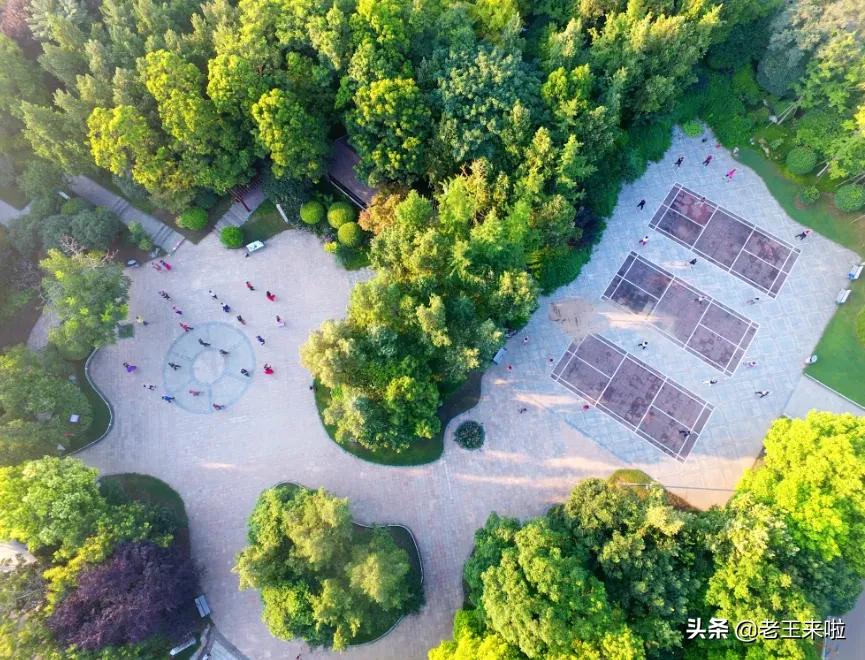 “十三五”期间徐州体育十大新闻出炉！