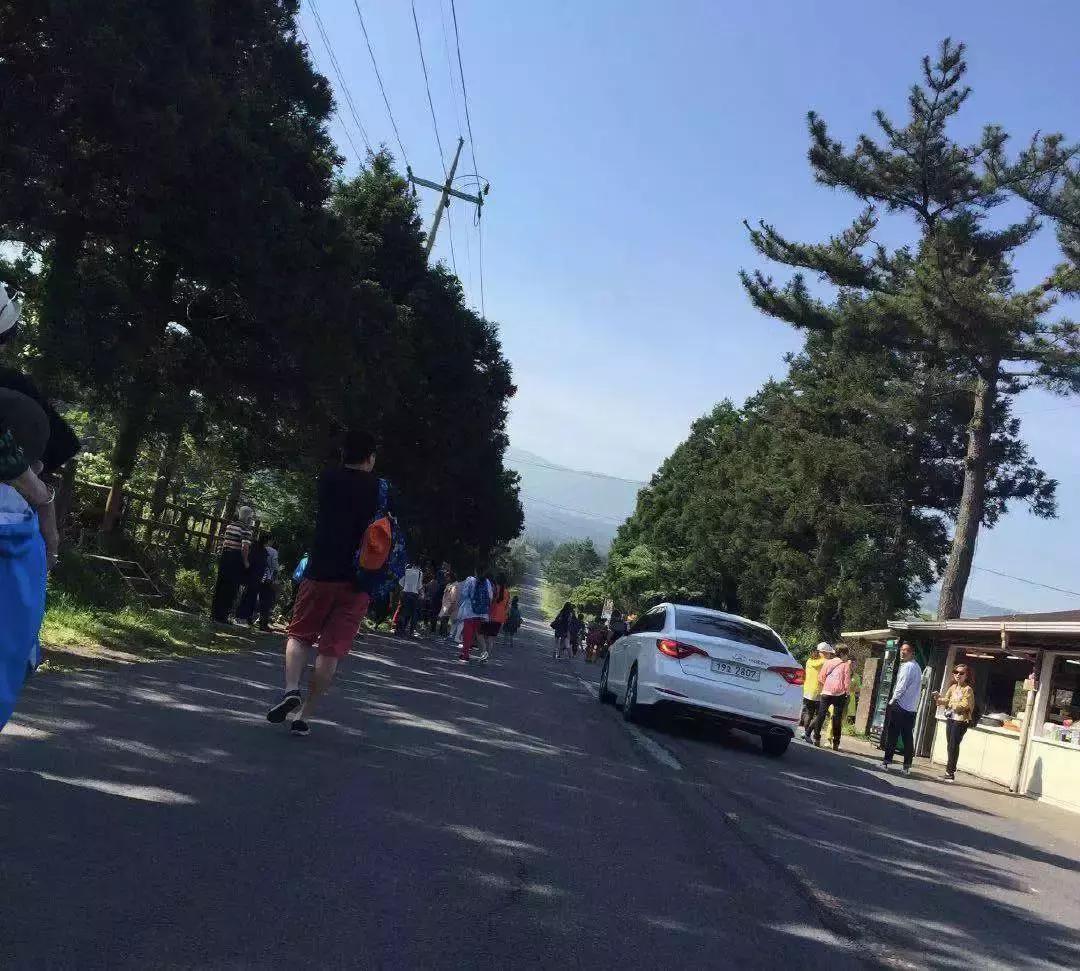 济州岛自由行详细攻略,济州岛自由行超实用攻略