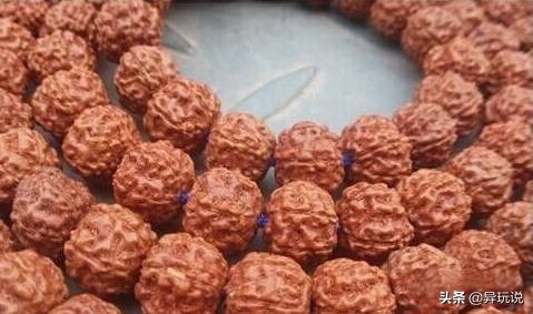 新手推荐什么金刚,骨灰级玩家技巧