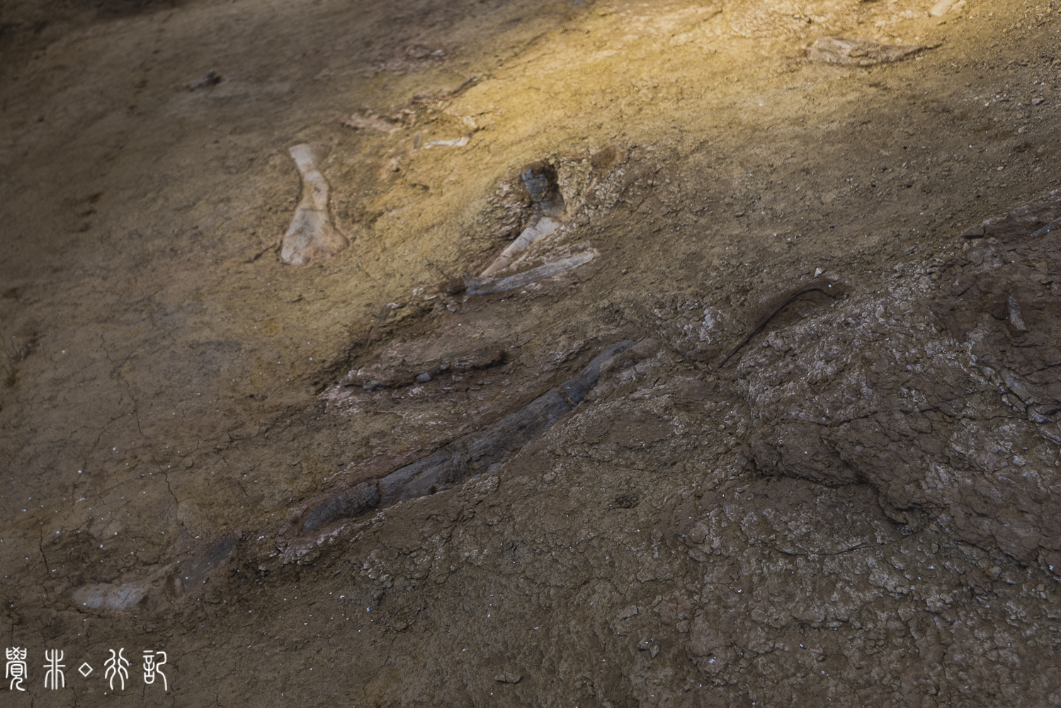 莱阳白垩纪国家森林公园,莱阳白垩纪公园