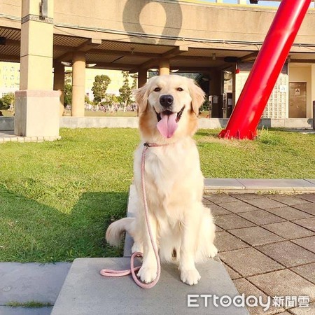 拒当靠爸族！俏丽金妞客串实况主5分钟　粉丝4200颗星星