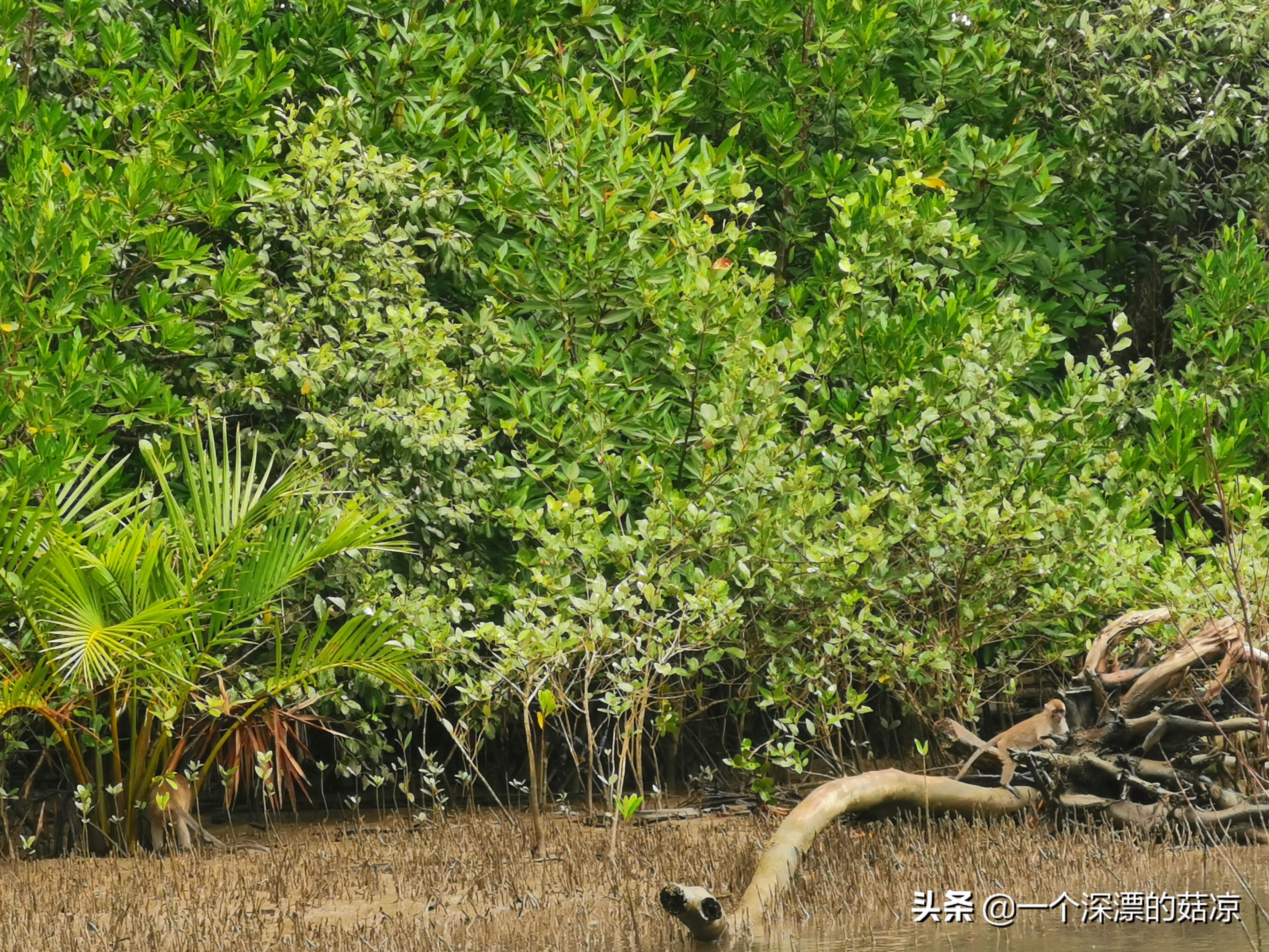 在夏天结束之前再去海边,在夏天结束前去海边
