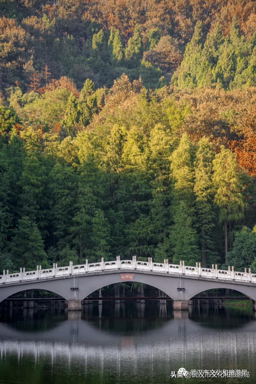 蔡甸区游玩,蔡甸在哪里