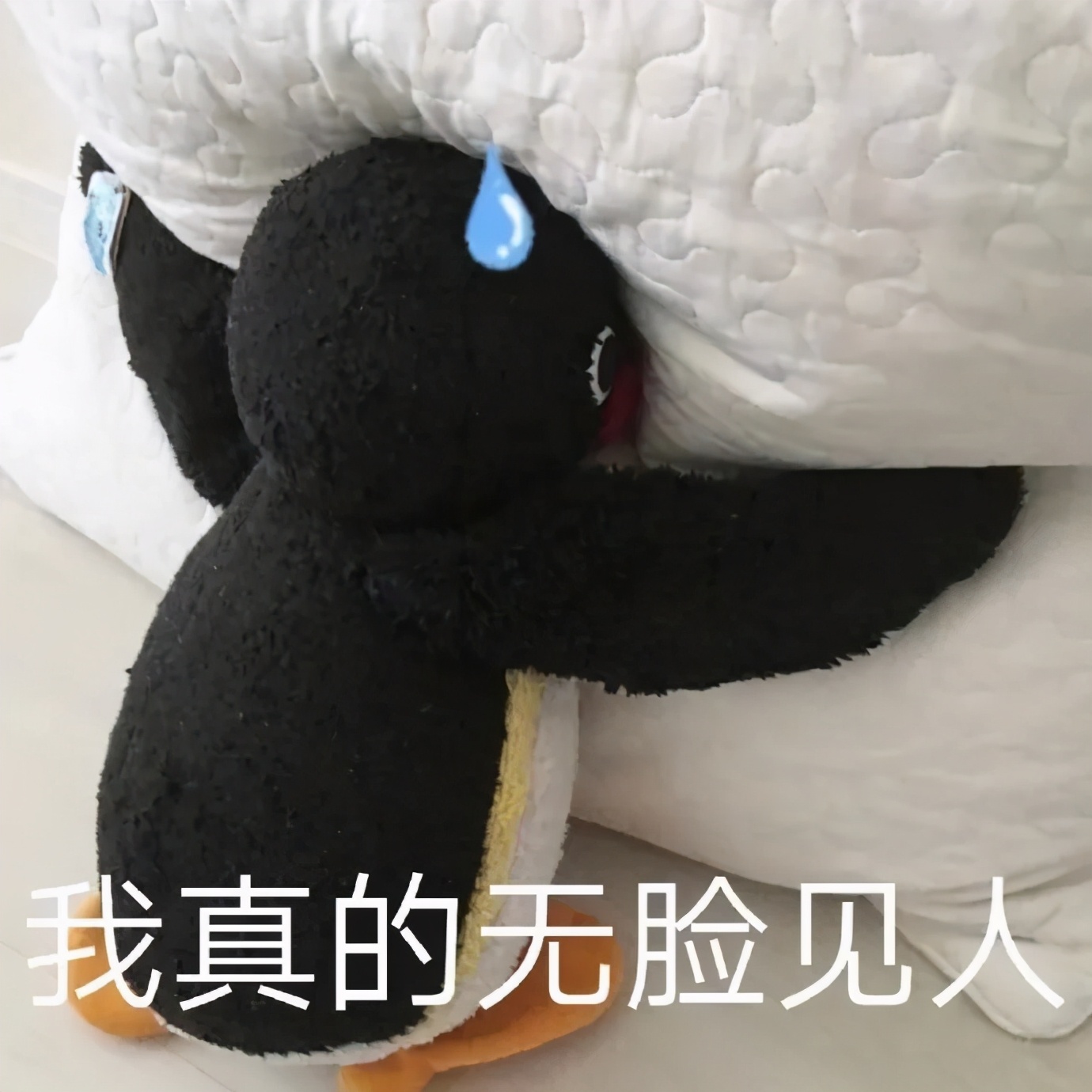 适合穷人的留学专业推荐,留学生选什么专业好找工作