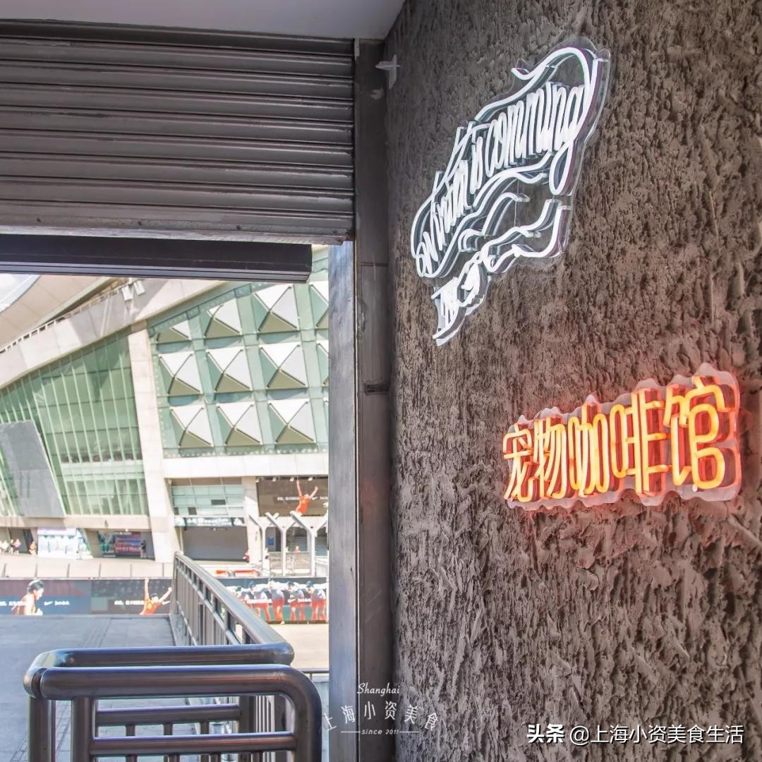 魔都哈士奇体验馆宠物咖啡,魔都哈士奇咖啡馆